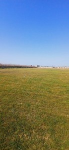 image 370085