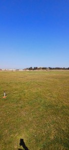 image 370085
