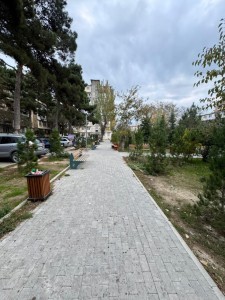 image 370099