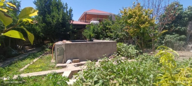 image 370164
