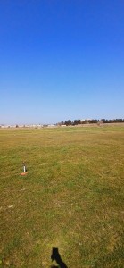 image 370173