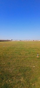 image 370173