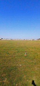 image 370173