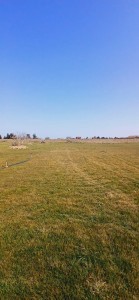 image 370173