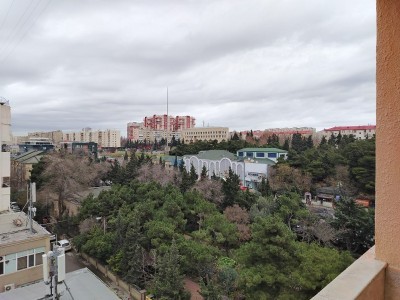 image 370223