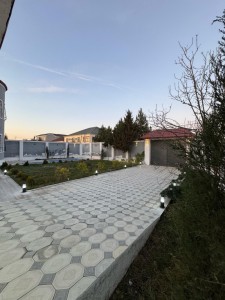 image 370318