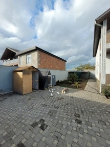 image 370510