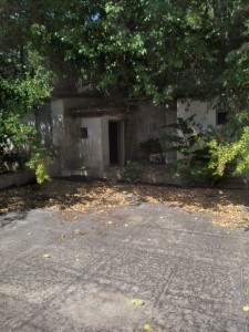 image 370683