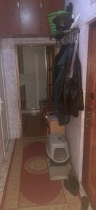 image 370779