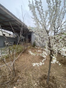 image 370837