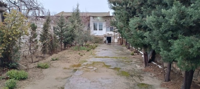 image 370972