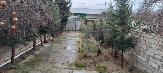 image 371011
