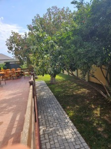 image 371058