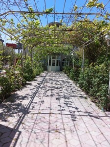 image 371283