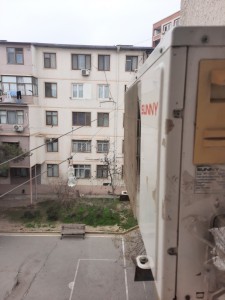 image 371304