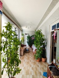 image 371390