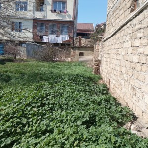 image 371446