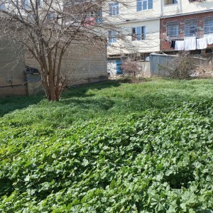 image 371446