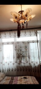 image 371469