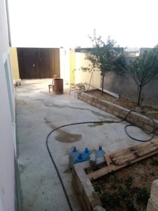 image 371523