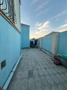 image 371555