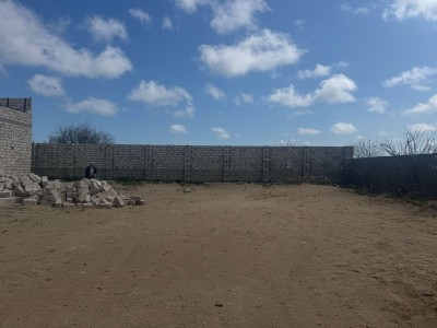 image 371564