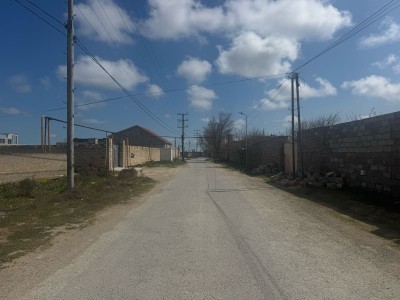 image 371564