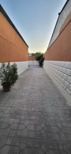 image 371599