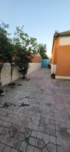 image 371599