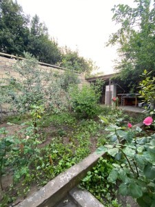 image 371638