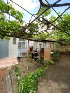 image 371638