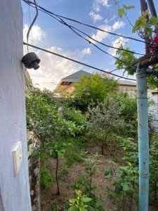 image 371638
