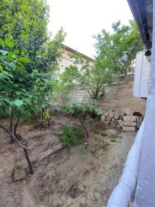 image 371638