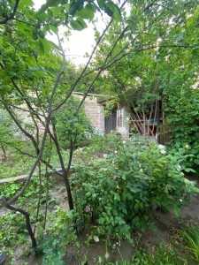 image 371638