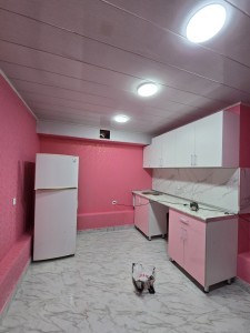image 371674