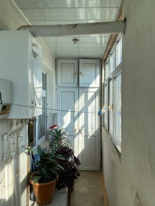 image 371737