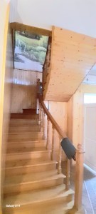 image 371742