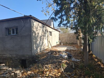 image 371772