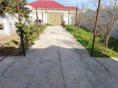 image 371792
