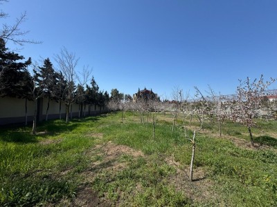 image 371820