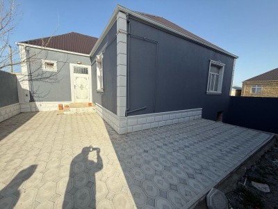 image 371821