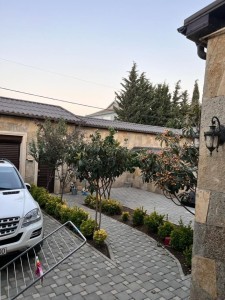 image 371915