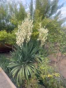 image 371925
