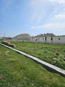 image 371935