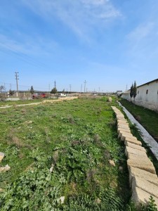image 371935
