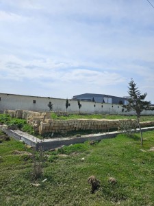 image 371935