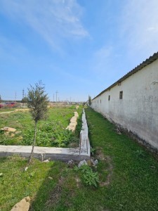 image 371935