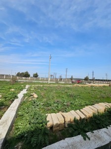 image 371935