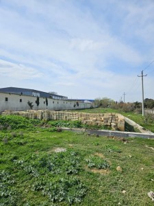 image 371935