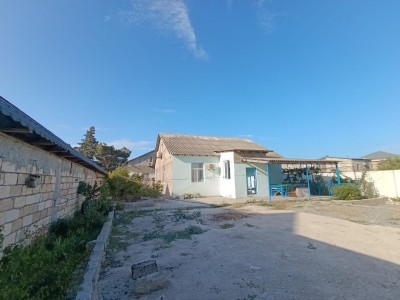 image 371984